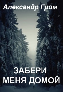 Забери меня домой (Александр Гром)