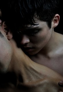 Ненужные принципы (Криста Вэл (Temnoe serdce))