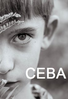Сева (Д. Фархуллина)