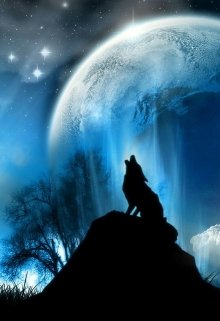 Закон бумеранга (Ksenwolf)