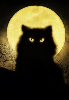 Ведьма (Ирина Балан)