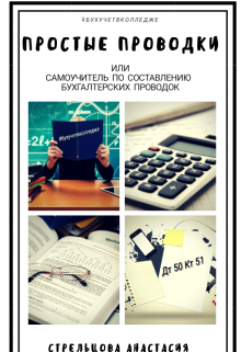 Простые проводки (Стрельцова Анастасия)