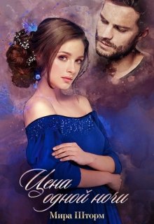 Цена одной ночи (Мира Шторм)