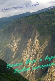 Дракон, Барс и ведьма. Первый контракт. (Анастасия Сильва)