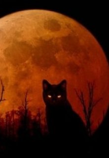 Кошка (Странница)