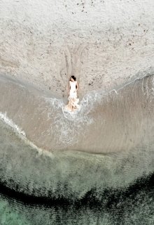 Осенние гроздья олив Халкидики (версия 1.2) (Лилин Курбита)
