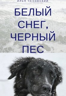 Белый снег, чёрный пёс (Илья Чеховский)