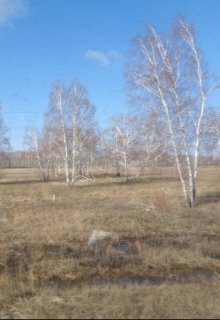 Алтайские хребты Первопрестольной (Андрей Жеребнев)