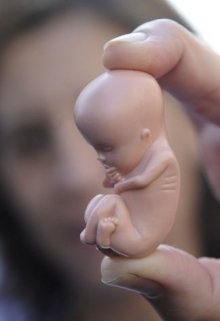 Abortus (Vlad Holle)