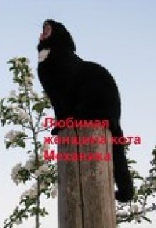 Любимая женщина кота Механика (Скорпион)