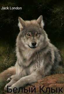 Белый Клык (★Greys★)