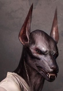 Dogowar (Дмитрий Гринёв)
