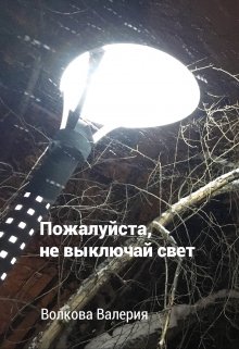 Пожалуйста, не выключай свет (Волкова Валерия)