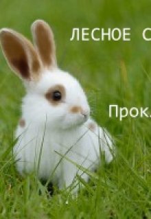 Лесное Сердце «Проклятие Степи» (Foam Sea)