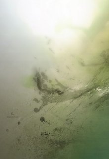 Мутные воды (Борис Берш)