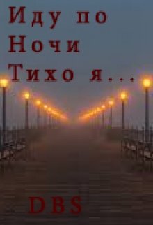 Иду по ночи тихо я…   (стих) (Romantin Gromadan)