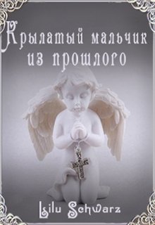 Крылатый мальчик из прошлого (Лилу Шварц)