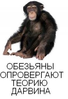 Обезьяны опровергают теорию Дарвина (Олег Т)