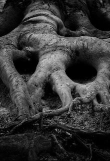 Корень чистого зла (Антон Зинченко)