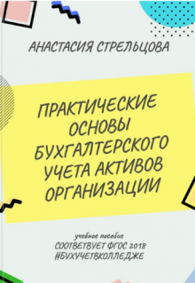Практические Основы Бухгалтерского Учета Активов Организации (Стрельцова Анастасия)