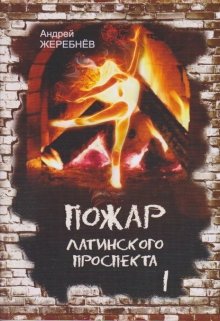 Пожар Латинского проспекта (Андрей Жеребнев)