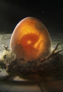 Я — дракон (Йен Странник)