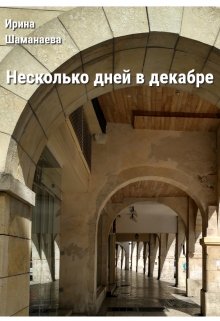 Несколько дней в декабре (Ирина Шаманаева)