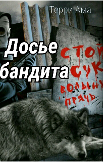 Досье бандита (Терри Ама)