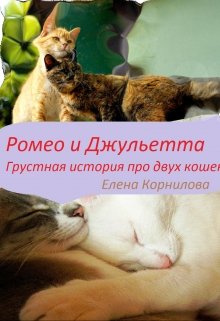 Ромео и Джульетта. Грустная история двух кошек. (Elena)