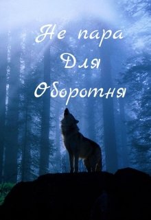 Не пара для оборотня (Koshka_Skazoshnicha)