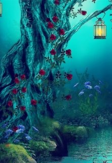 Книга ведьмы и лагерь смерти. (Феникс)