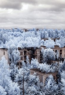 Тот, который сидел на крыше (Антон Ситало)