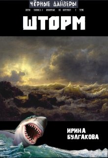 Шторм (Ирина Булгакова)
