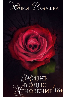 Жизнь в одно мгновение… (Юлия Ромашка)