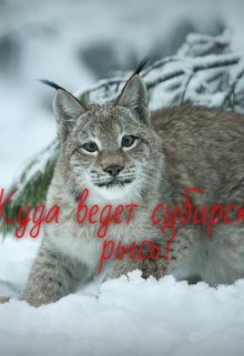 Куда ведет сибирская рысь? (Кейн)