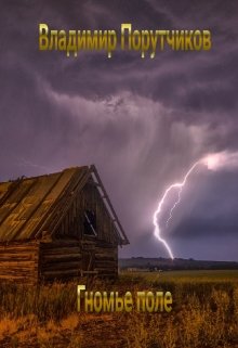 Гномье поле (Владимир Порутчиков)