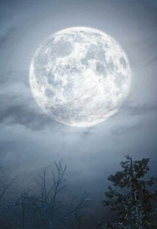 Покровители ночи (ArinaRir)
