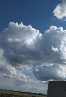 Записки из прошлого лета (Черное Солнце)