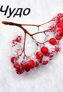Чудо (Вияна Вирясова)