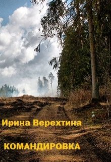 Командировка (Ирина Верехтина)