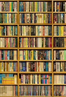 Тэг «Есть ли у меня такая книга» (Vlad Holle)
