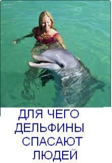 Для чего дельфины спасают людей (Олег Т)