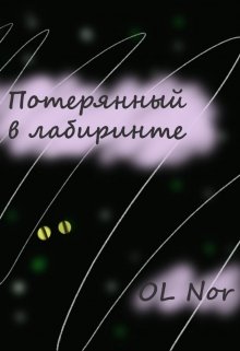 Потерянный в лабиринте (Ol Nor)