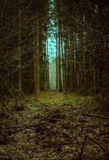 Кабаний Бог (Александр Петров Скутелис)
