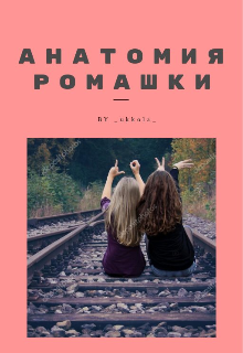 Анатомия ромашки (Ukkola)