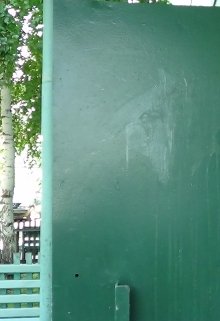 Дверь (Светлана)