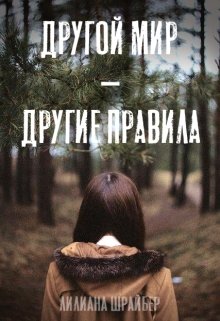 Другой мир — другие правила (Лилиана Шрайбер)