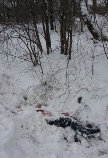 Зимний случай (Александр Лёдин)