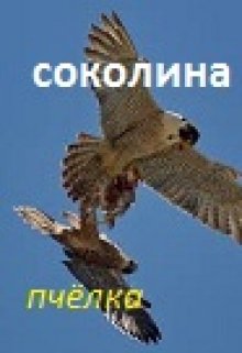 Соколина(сказ 6-й) (Пчелка)