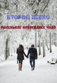 Второй Шанс. Маленькое новогоднее чудо (Екатерина Богданова)